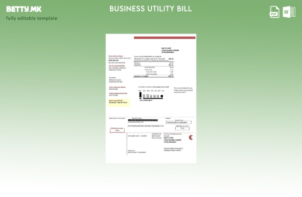 Модерен стил Шаблон за деловна сметка за комунални услуги France Gaz de France D